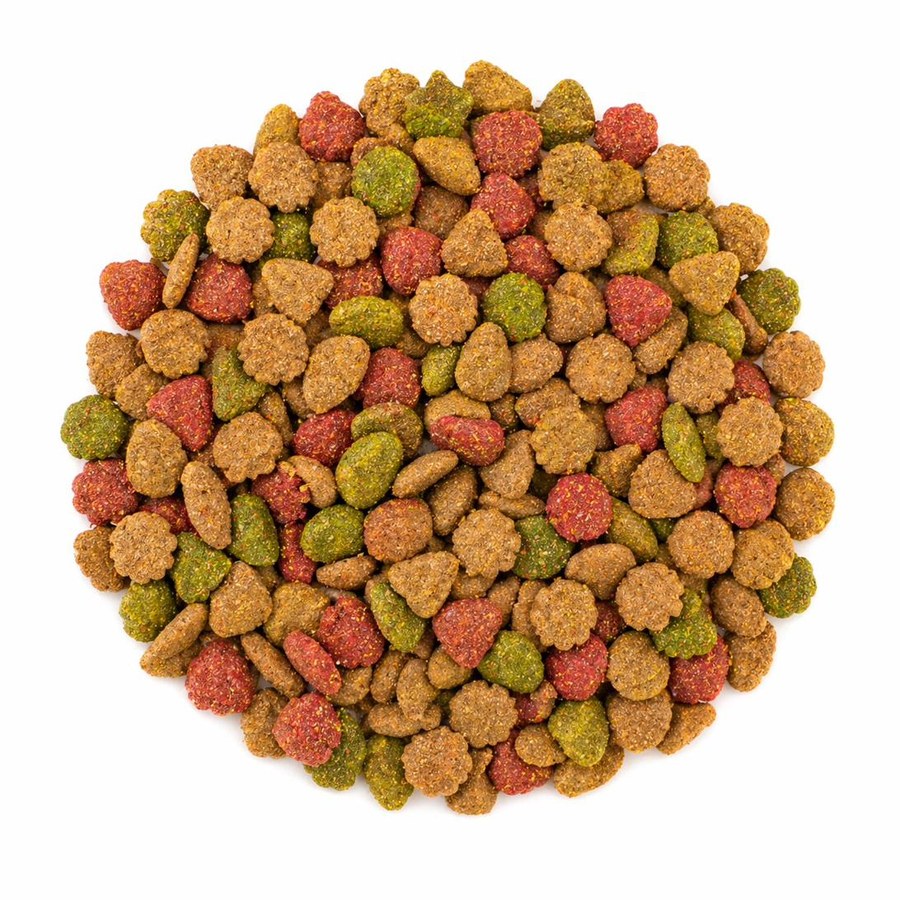 Cats kibble