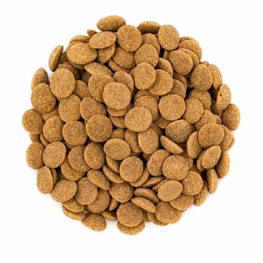 DailyFresh kibble